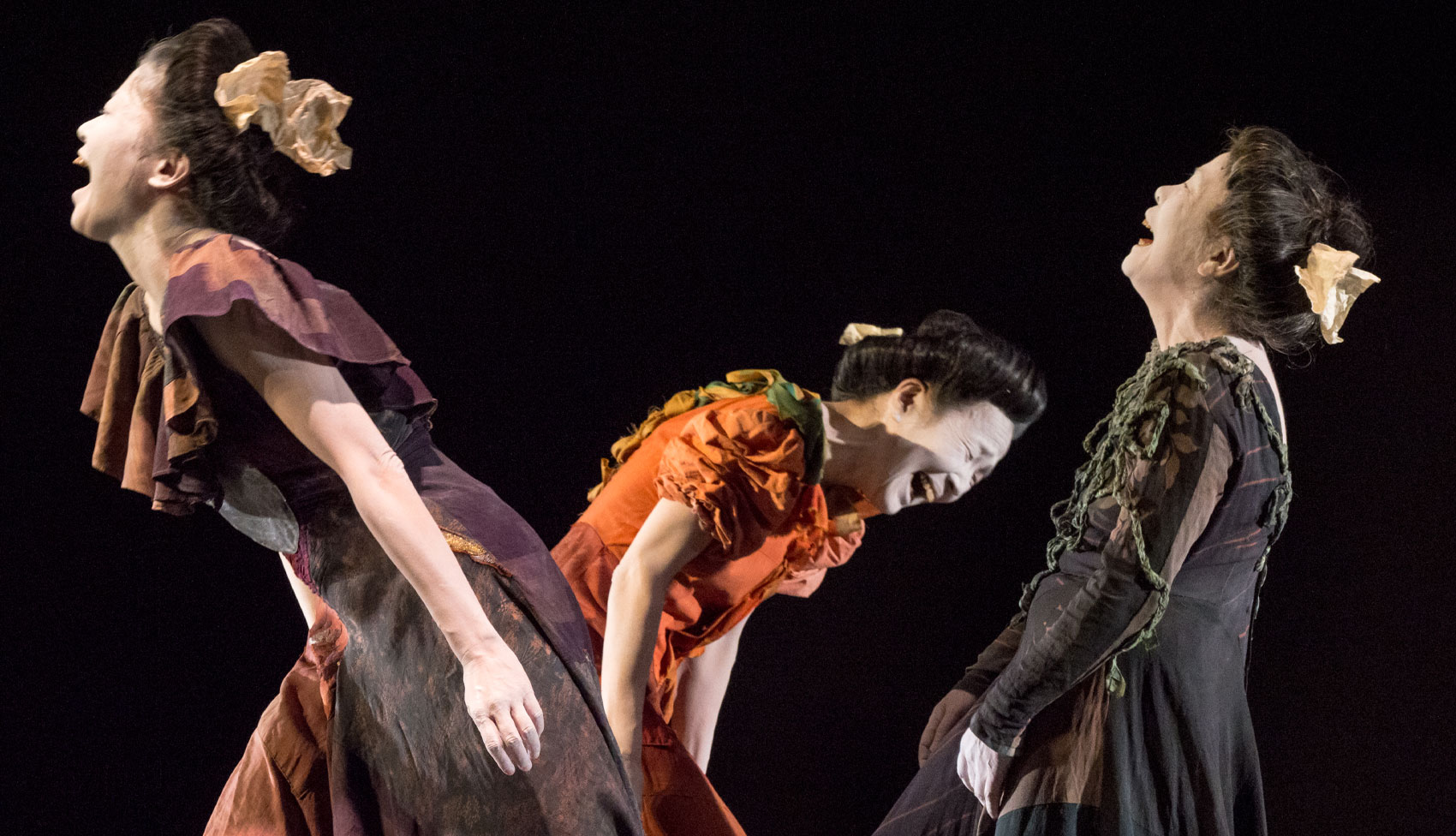 舞踏舎 天鷄｜Butoh-sha Tenkei