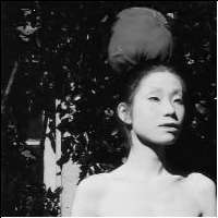 �����ɓV�P