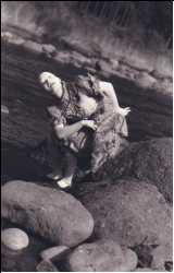 ������ �V�P