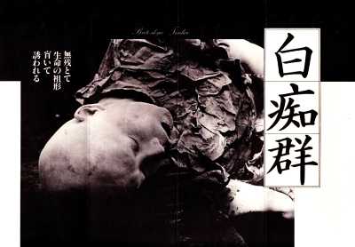 ������ �V�P