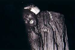 ������ �V�P