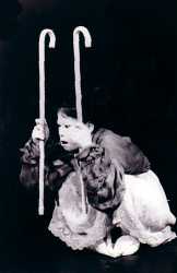 ������ �V�P