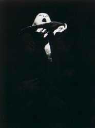 ������ �V�P