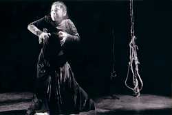 ������ �V�P